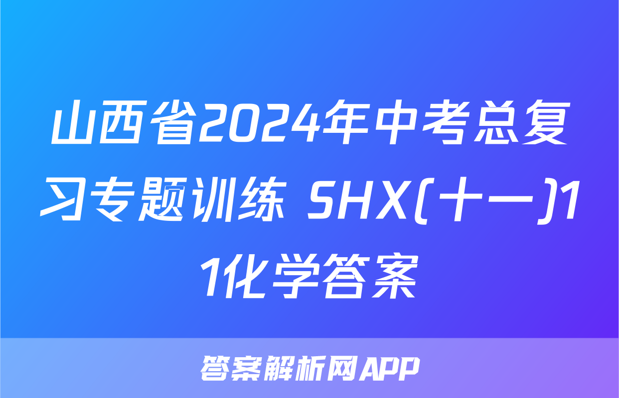 山西省2024年中考总复习专题训练 SHX(十一)11化学答案