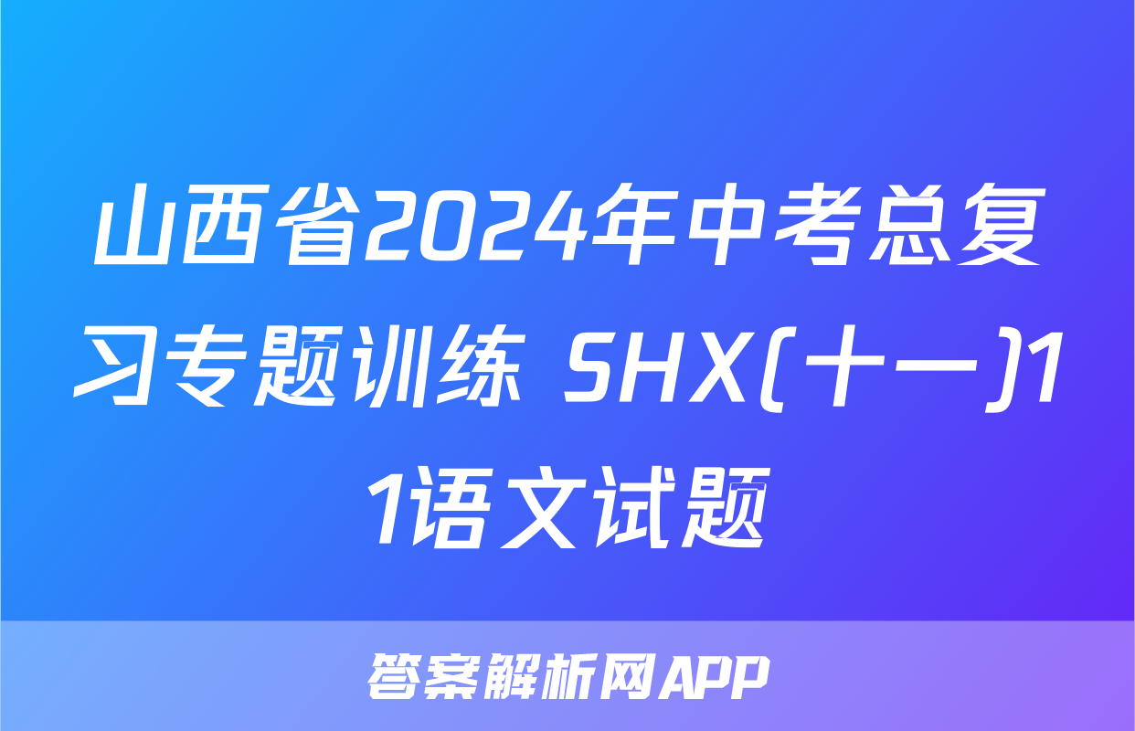 山西省2024年中考总复习专题训练 SHX(十一)11语文试题