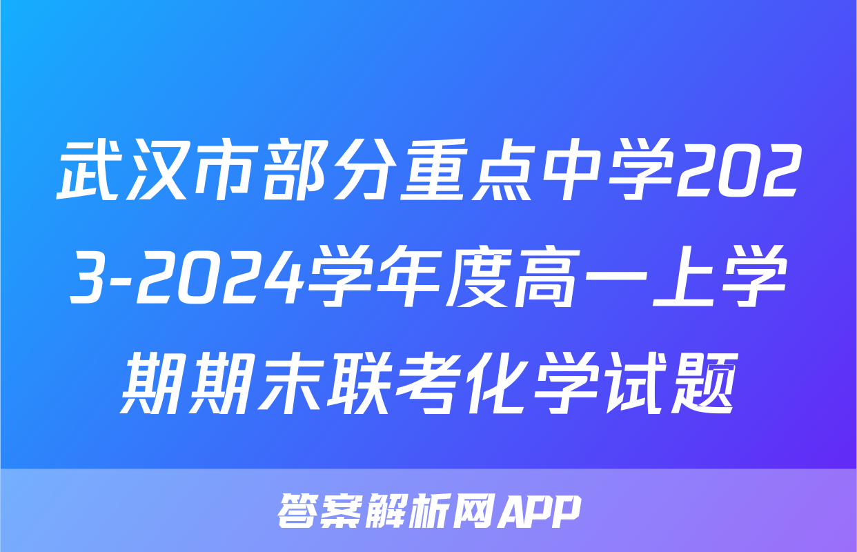 武汉市部分重点中学2023-2024学年度高一上学期期末联考化学试题