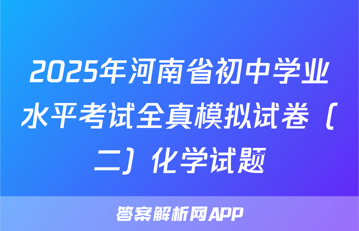 2025年河南省初中学业水平考试全真模拟试卷（二）化学试题
